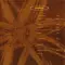 Brown album