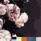 Power, corruption & lies